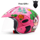 Wanli Motorcycle Helmet